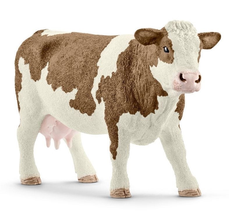 VACA FLECKVIEH