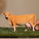 VACA JERSEY