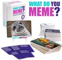 WHAT DO YOU MEME