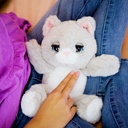 WINKS EL GATO DORMILON