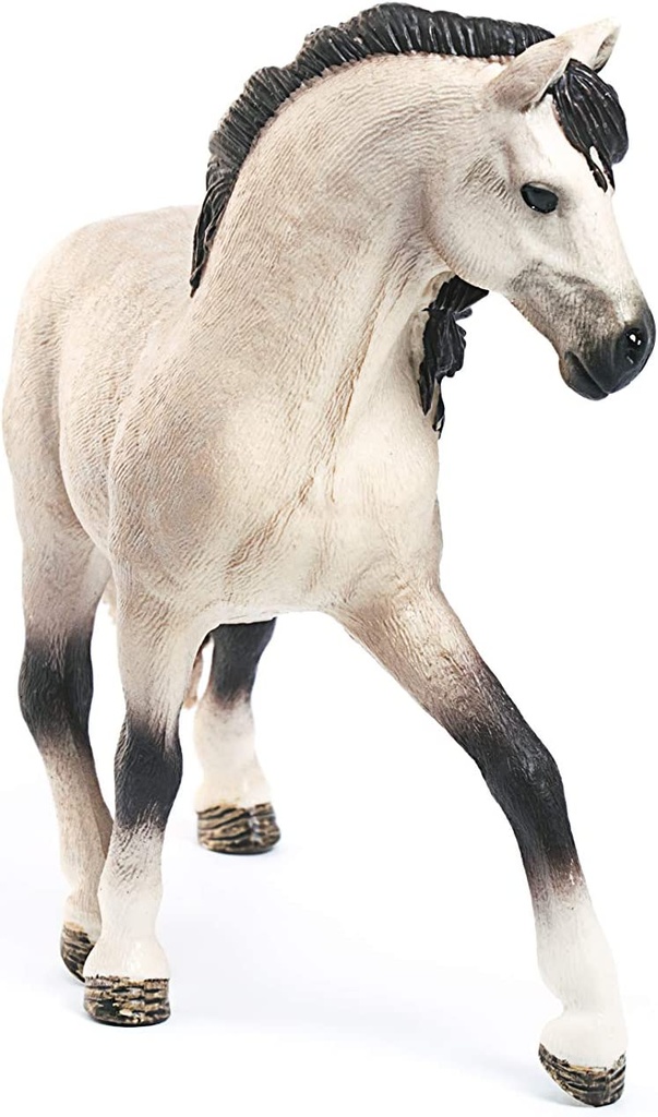 YEGUA ANDALUZA