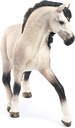 YEGUA ANDALUZA