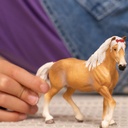 YEGUA HAFLINGER