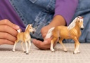 YEGUA HAFLINGER