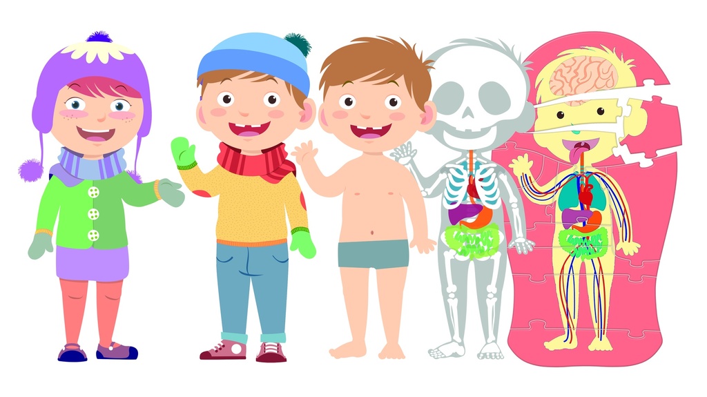 APRENDE EL CUERPO HUMANO