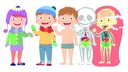 APRENDE EL CUERPO HUMANO