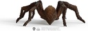 ARAGOG