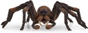 ARAGOG