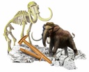 ARQUEOJUGANDO MAMUT FLUORESC.