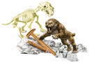ARQUEOJUGANDO SMILODON FLUOR.