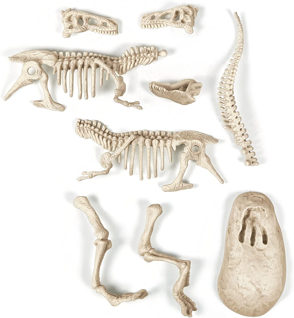 ARQUEOJUGANDO T-REX FLUORESC.