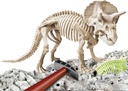 ARQUEOJUGANDO TRICERATOPS FL.