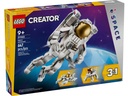 ASTRONAUTA ESPACIAL