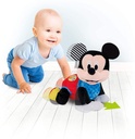 BABY MICKEY GATEOS