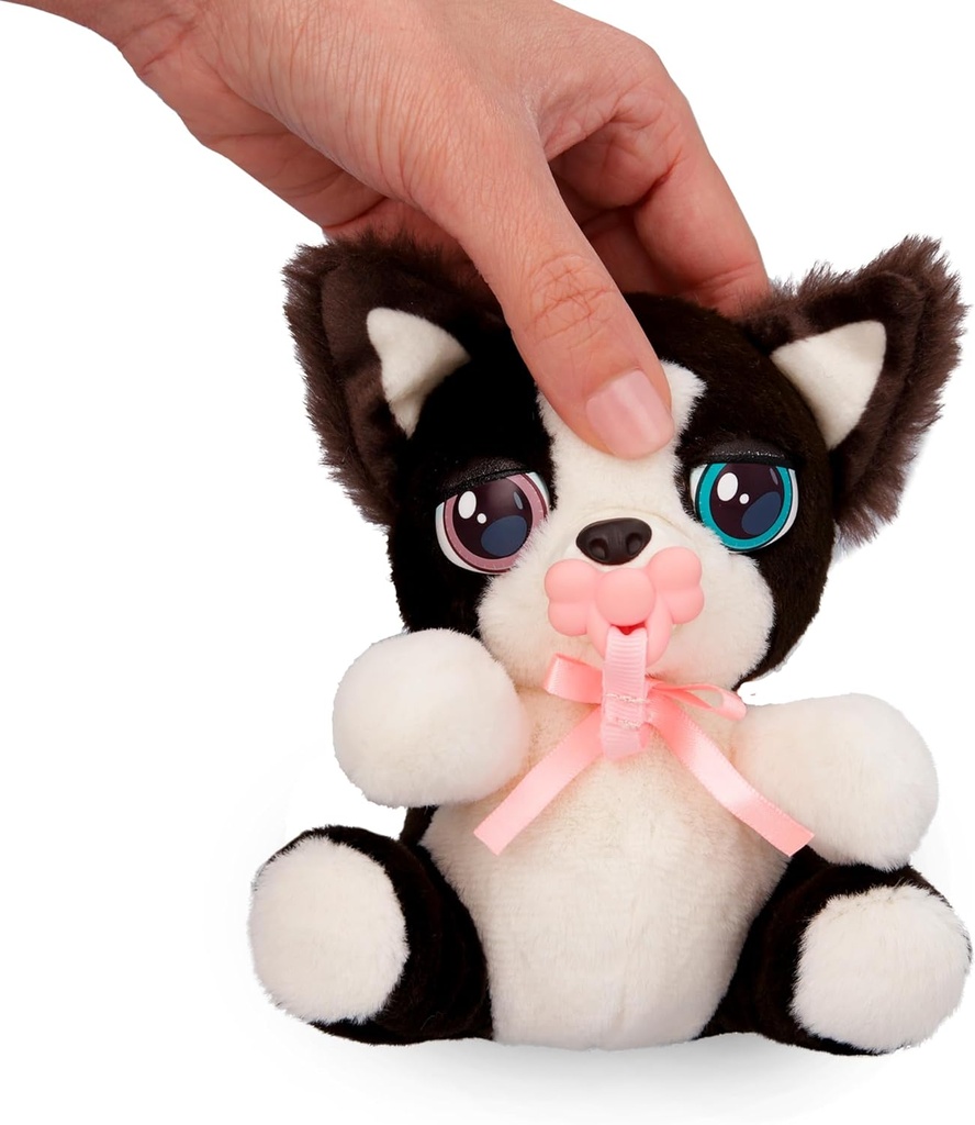BABY PAWS MINI BORDER COLLIE
