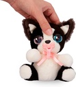 BABY PAWS MINI BORDER COLLIE