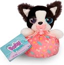 BABY PAWS MINI BORDER COLLIE