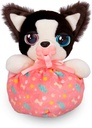 BABY PAWS MINI BORDER COLLIE