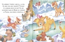 BAMBI-EL GAT AMB BOTES