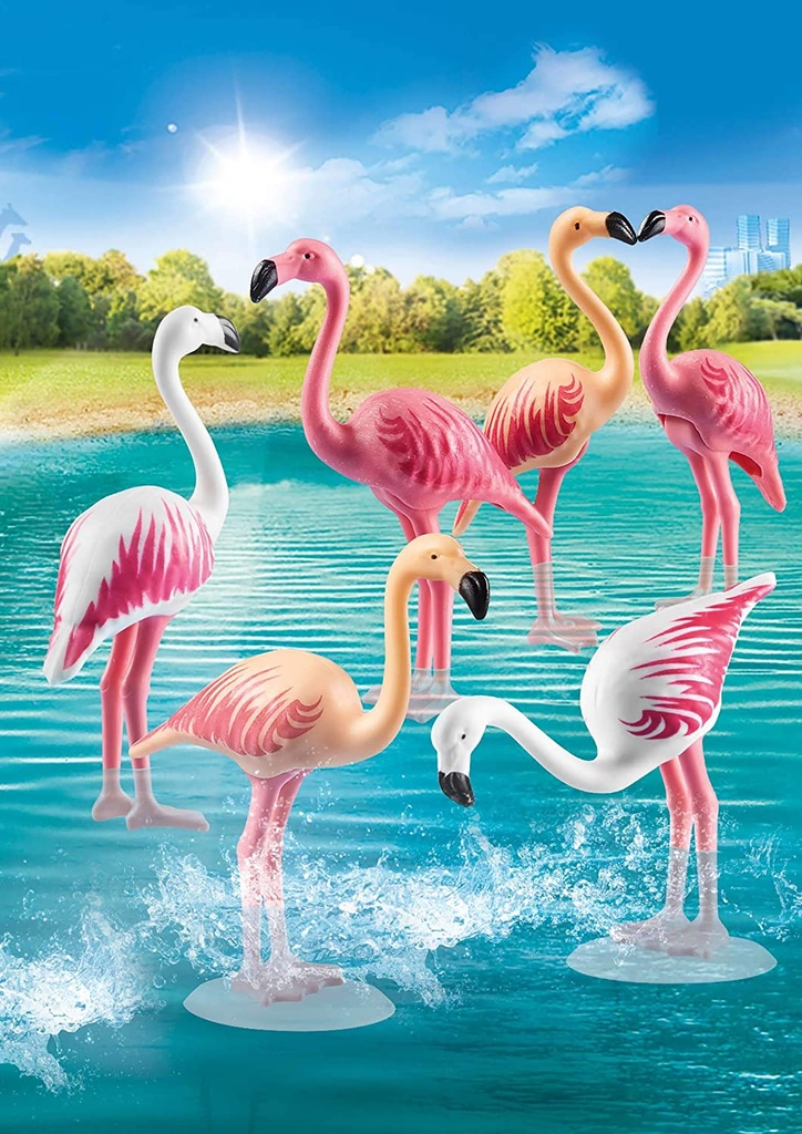 BANDADA DE FLAMENCOS