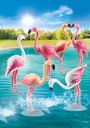 BANDADA DE FLAMENCOS