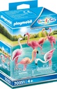 BANDADA DE FLAMENCOS