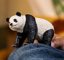 PANDA GIGANTE