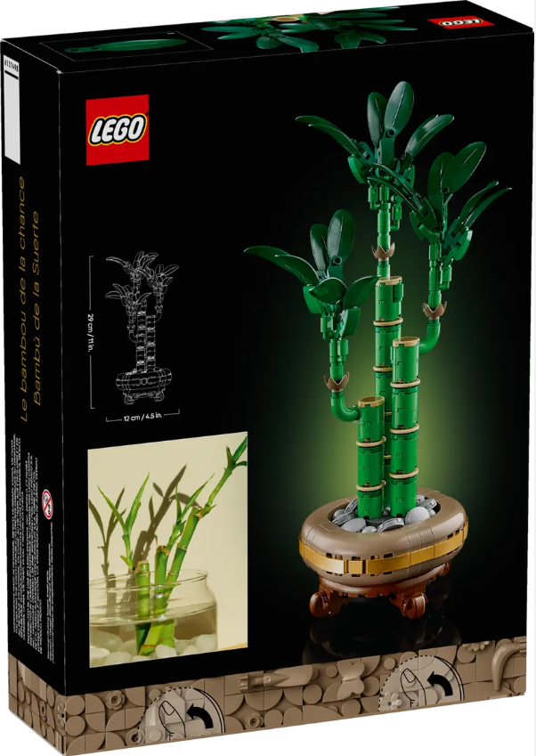 BAMBU DE LA SUERTE