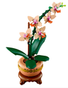 MINI ORQUIDEA