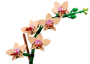 MINI ORQUIDEA
