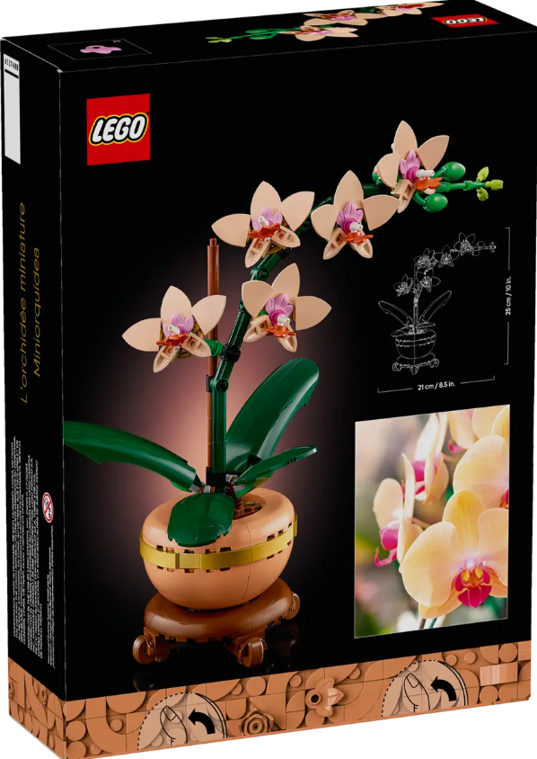 MINI ORQUIDEA