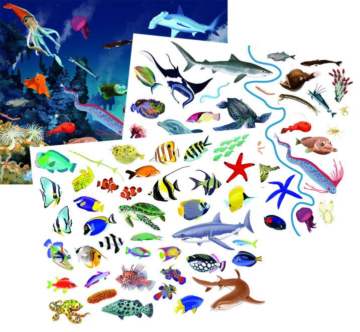 ANIMALES DEL MAR