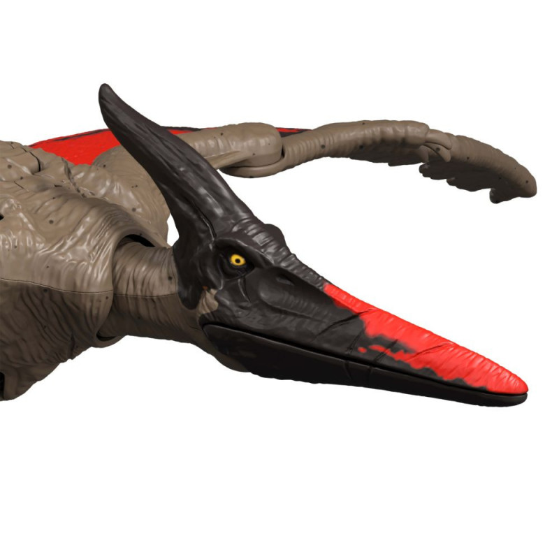 J.W. PTERANODON RUGIDO SALV.