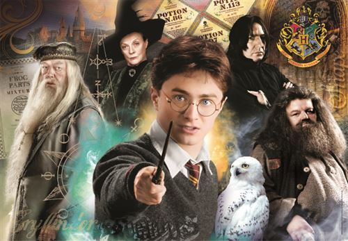 PUZ. 500 HARRY POTTER COMPACT