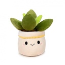 PELUCHE SOFT GARDEN 20CM.SURT.