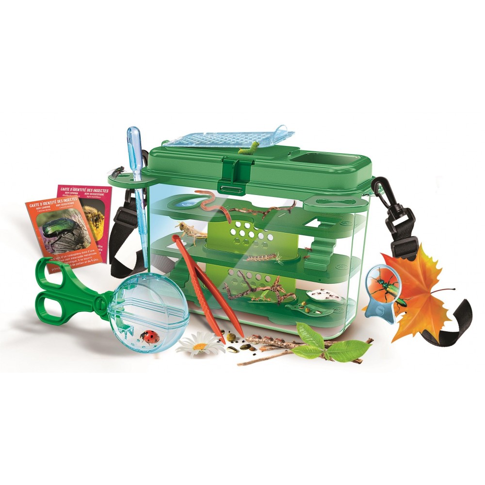 LA CASA DE LOS INSECTOS