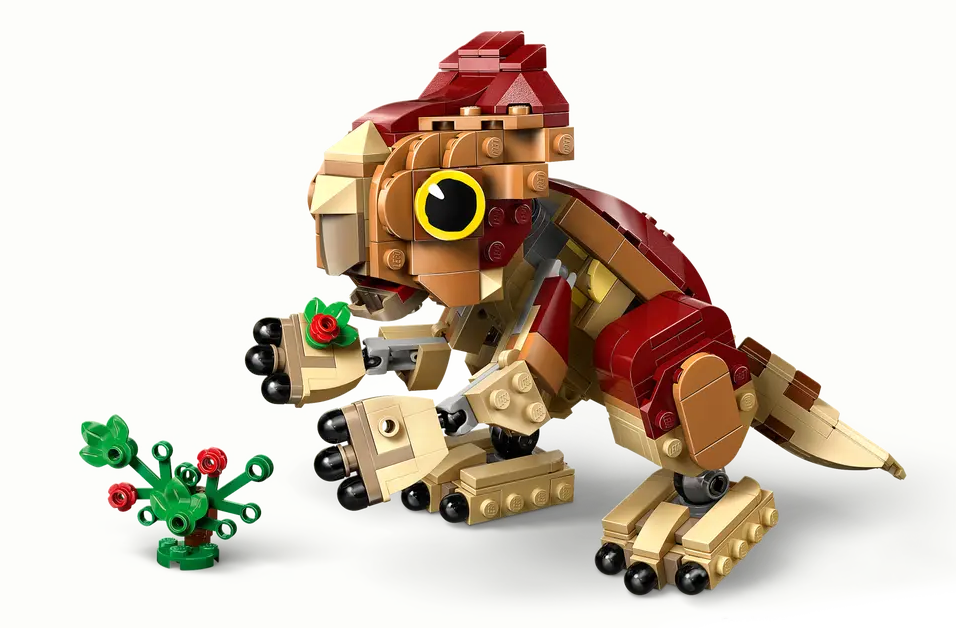 DOLORES BEBE: AQUILOPS