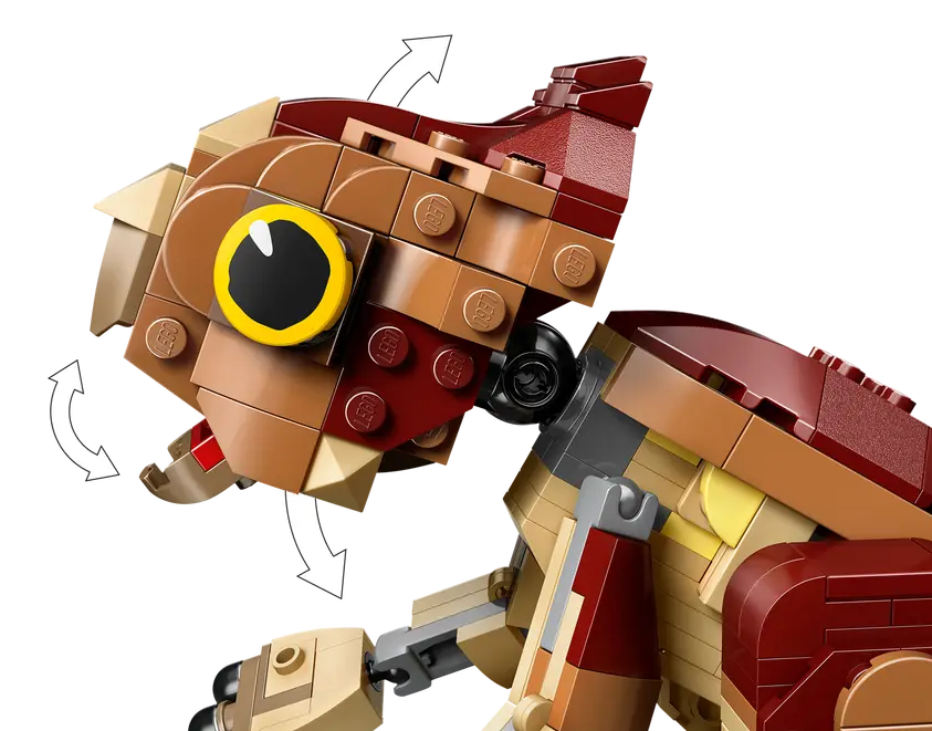 DOLORES BEBE: AQUILOPS