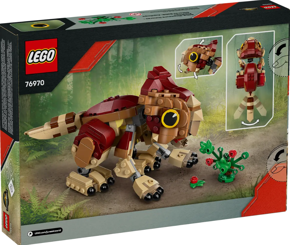 DOLORES BEBE: AQUILOPS