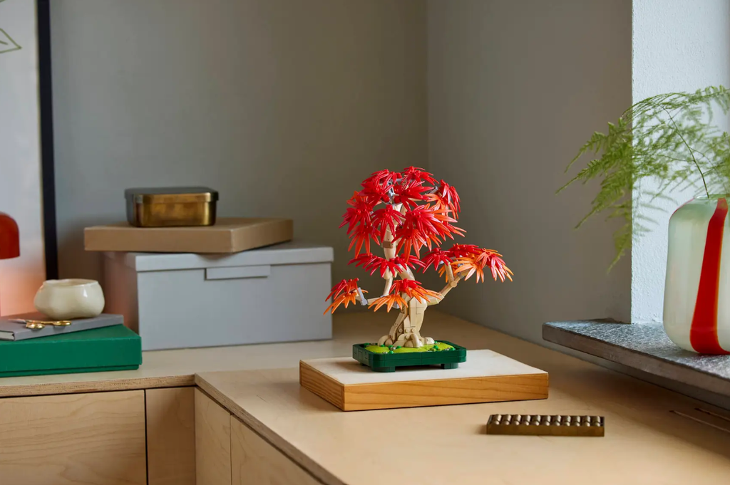 BONSAI ARCE ROJO JAPONES