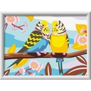 CREART LOS INSEPARABLES