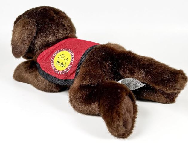 PELUCHE LABRADOR CHOCOLATE 21