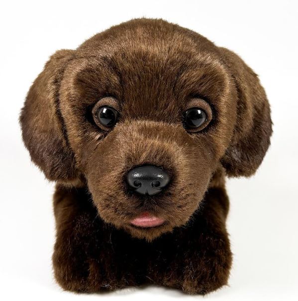 PELUCHE LABRADOR CHOC.25 CM.