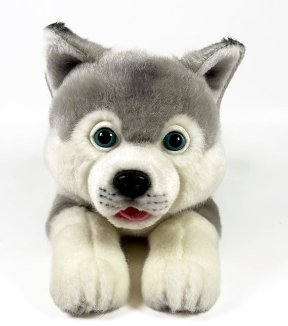 PELUCHE HUSKY TUMB. 25 CM.