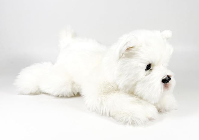 PELUCHE TERRIER BLANCO 25 CM.