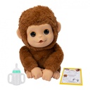L.L.P. MY BABY MONKEY