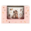 CUENCO MUESLI FUR EVER FRIENDS