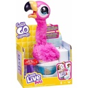 FALMINGO THE POOP L.L.P.