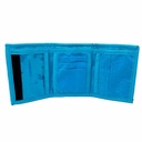 BILLETERO POKEMON GEO