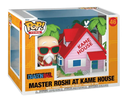 POP MASTER ROSHI AT KAME HOUSE